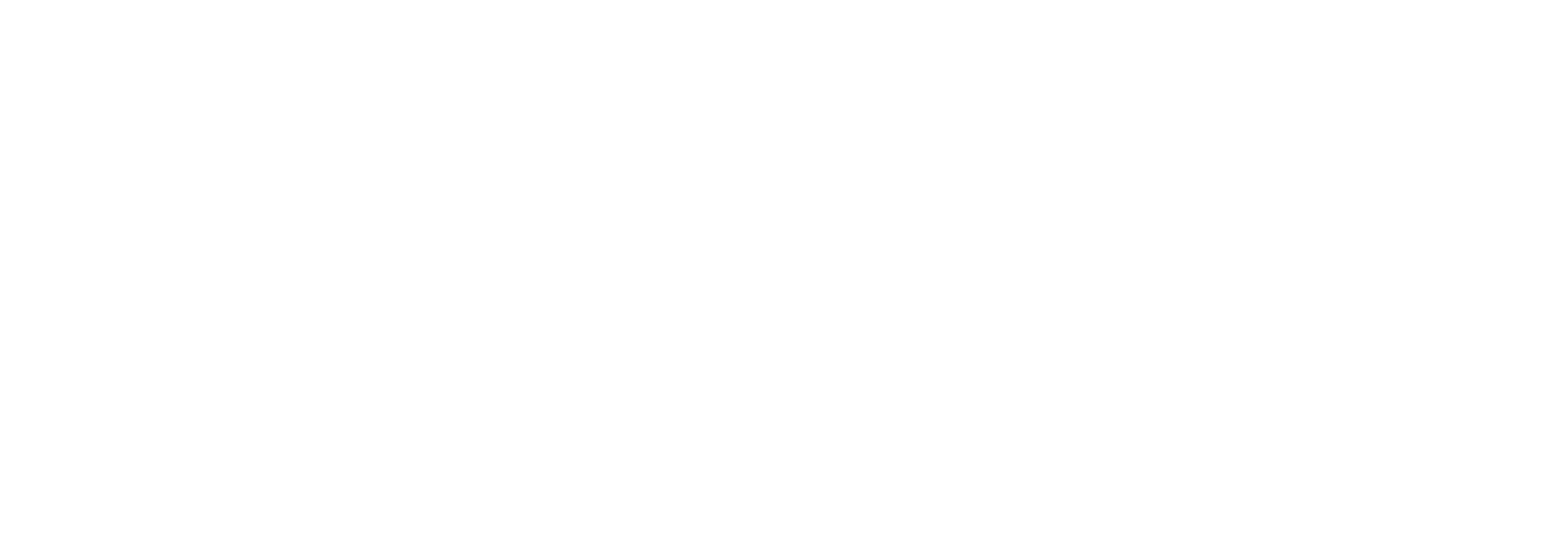 System1